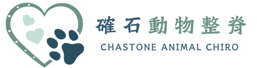 Chastone確石寵物整脊工作室